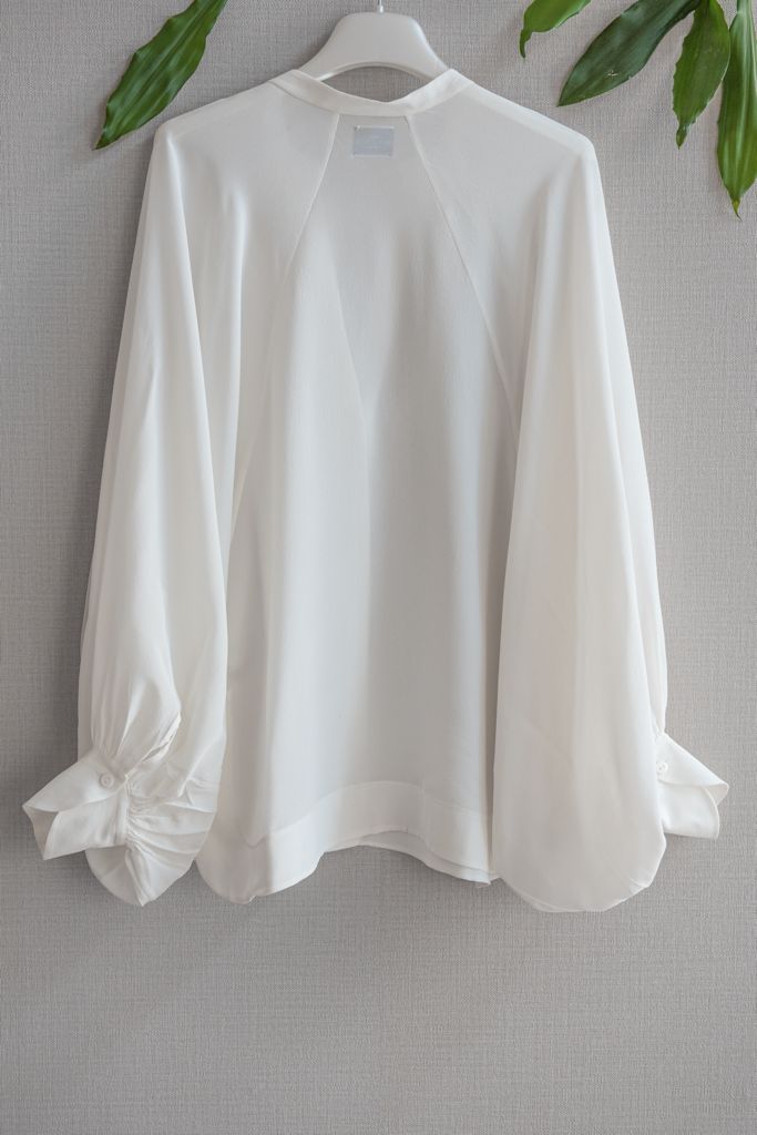 WIDE Sleeves Blouse